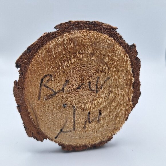 Kachina Handmade Doll Signed 7 Inch Bear AM Native American Indian Art Wood - Picture 8 of 10